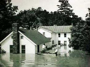 The Geiger's House in the Summer Colony